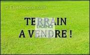 Terrain à BRAINE
