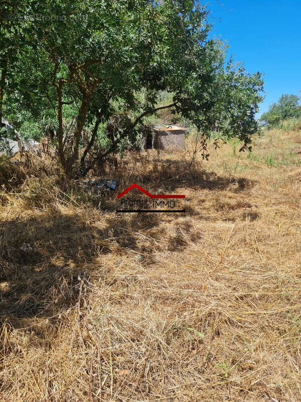 Terrain à SAINT-GENIS-DES-FONTAINES