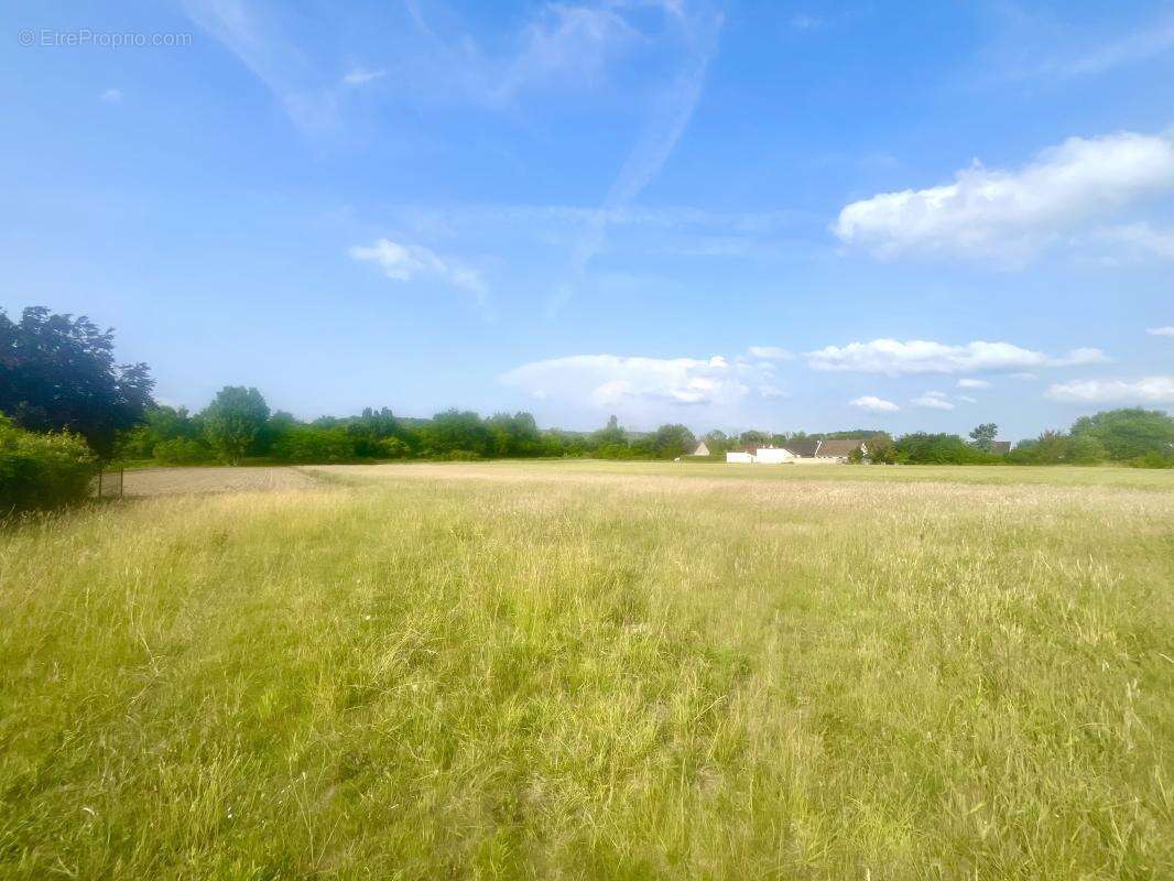 Terrain à PRESLES-ET-BOVES