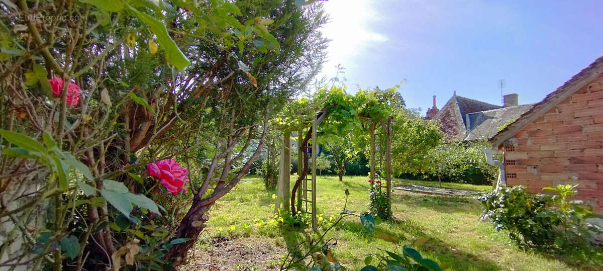 Tournon saint pierre - photo 15