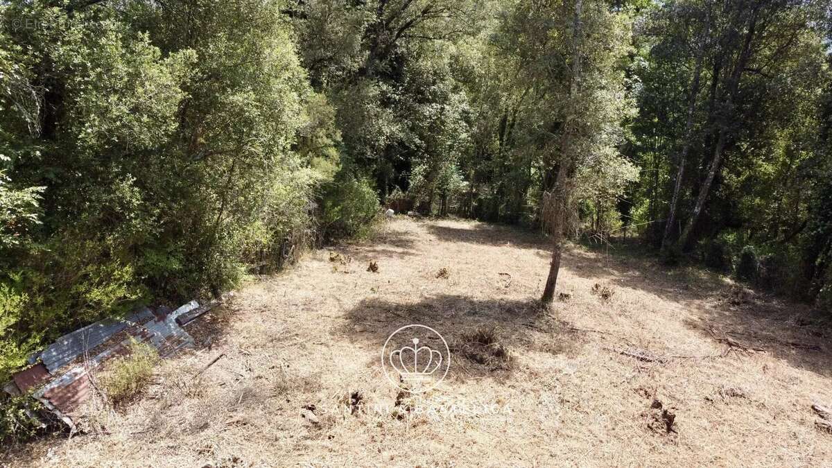 Terrain constructible de 1 641 m² à Vero en Corse-du-Sud : une opportunité rare entre mer et montagne - photo 4