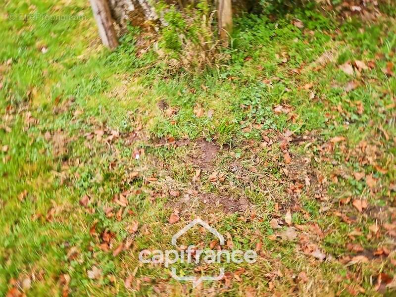 Terrain à LA FERTE-SOUS-JOUARRE