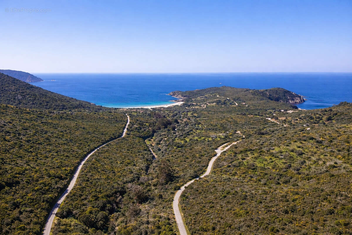 Propriété d'exception ! plage d'arone, piana - photo 2