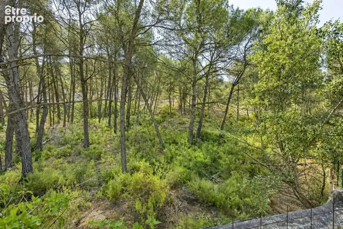 Les Pennes Mirabeau, Villa familiale + 3 logements dépendants - photo 17
