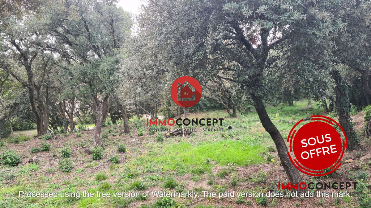 Terrain à MONTFAUCON