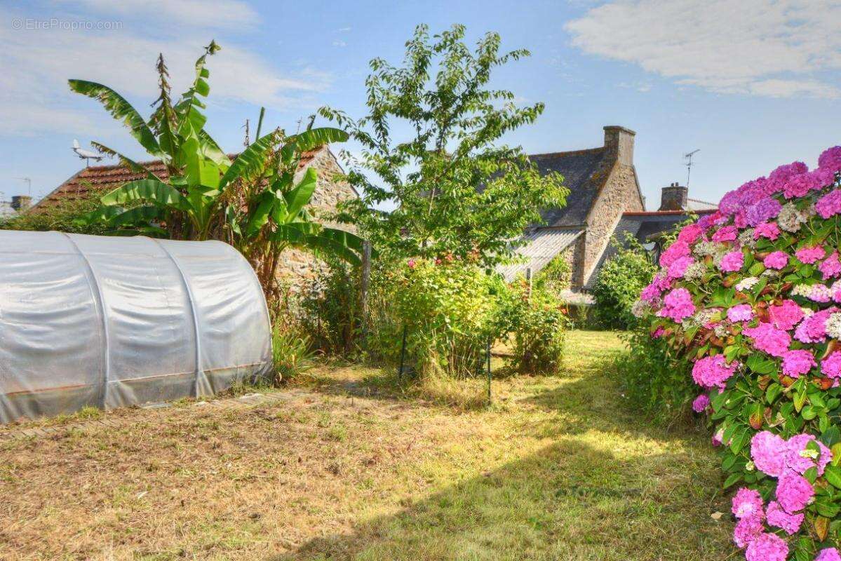 Maison 2 chambres, 74 m2, pompe à chaleur et panneaux photovoltaïques - photo 17