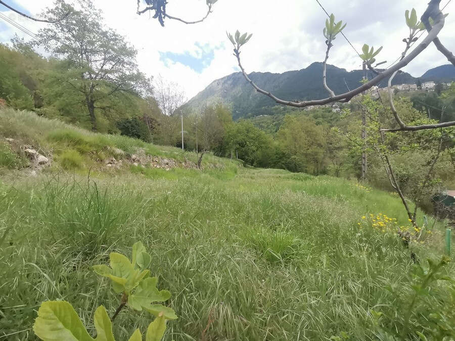 Terrain à LA BOLLENE-VESUBIE