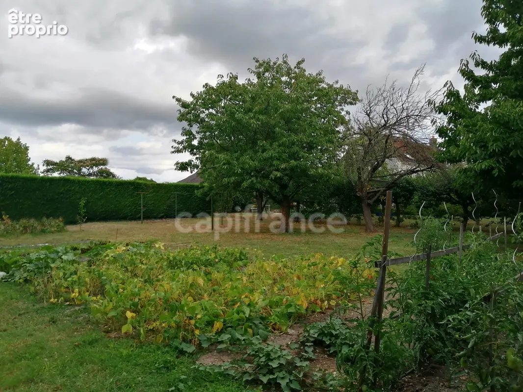 Noyers-sur-Cher (Loir-et-Cher), à vendre LONGERE familiale 7 pièces de 180 m² - photo 9