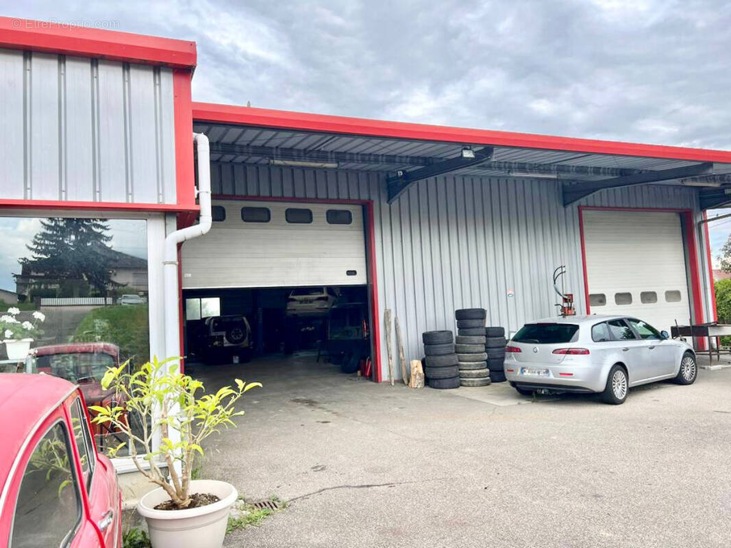 Commerce à WALTENHEIM