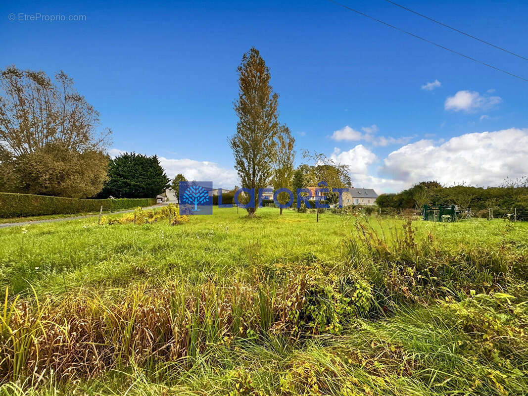 Terrain à AZAY-LE-RIDEAU