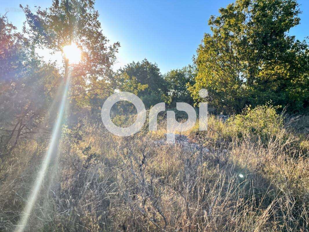 Terrain secteur Saint Paul Le Jeune - photo 5