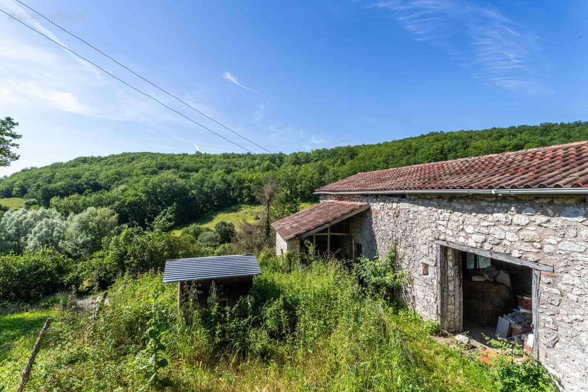 Country property - photo 7
