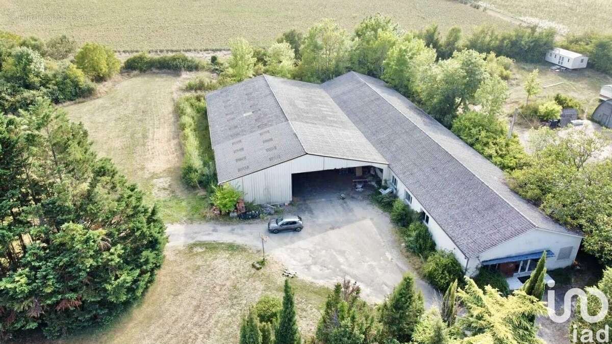 Photo 2 - Commerce à NERAC