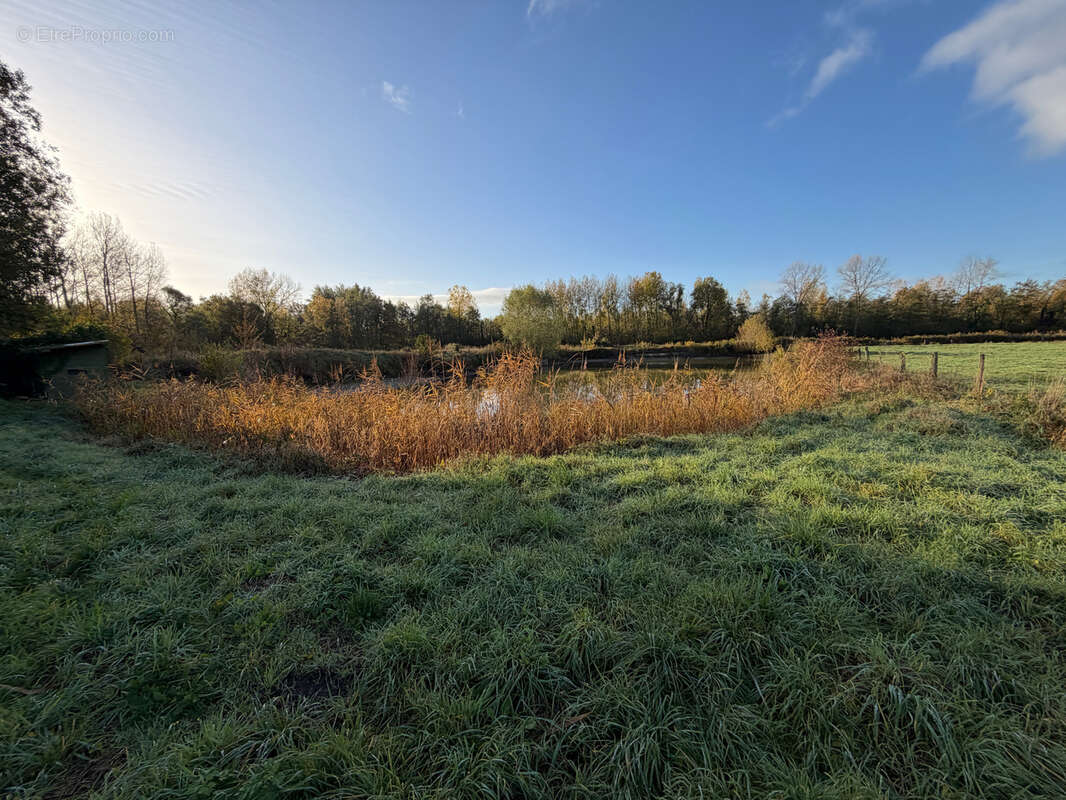 Terrain à WANDIGNIES-HAMAGE