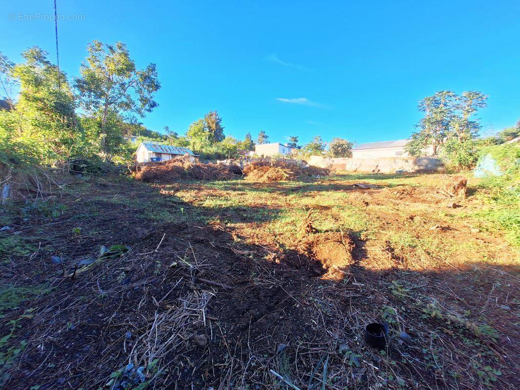 Terrain à SAINT-PAUL