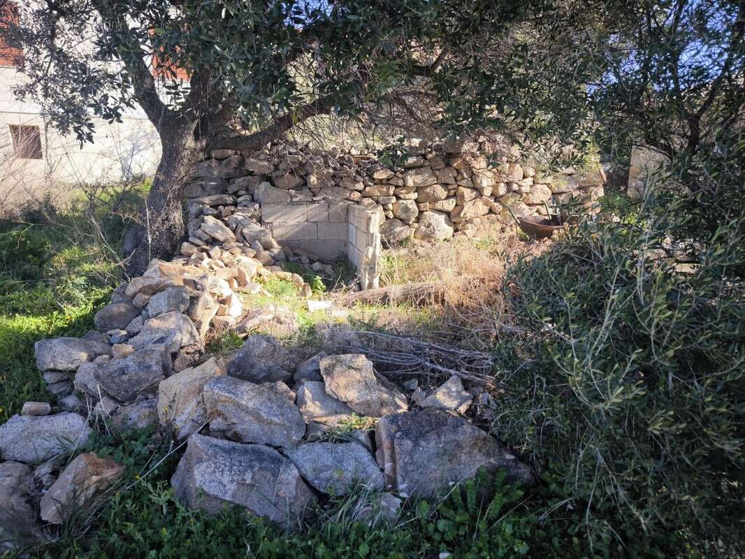 Terrain à MONACIA-D&#039;AULLENE