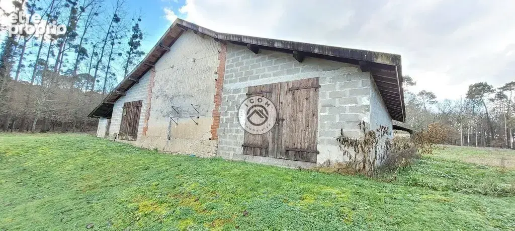 Terrain boisé de 26589 m2 avec dépendance de 120 m2 environ - photo 3