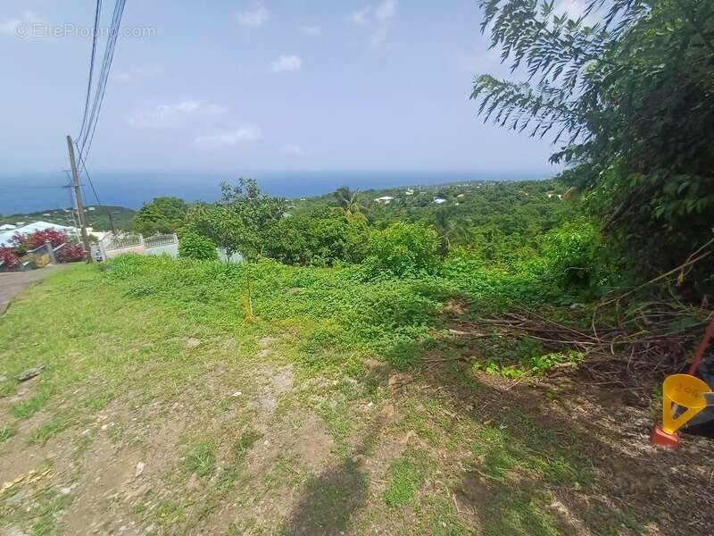 Terrain à vendre de 1 000,00 m² proche de Baillif (971) - photo 4