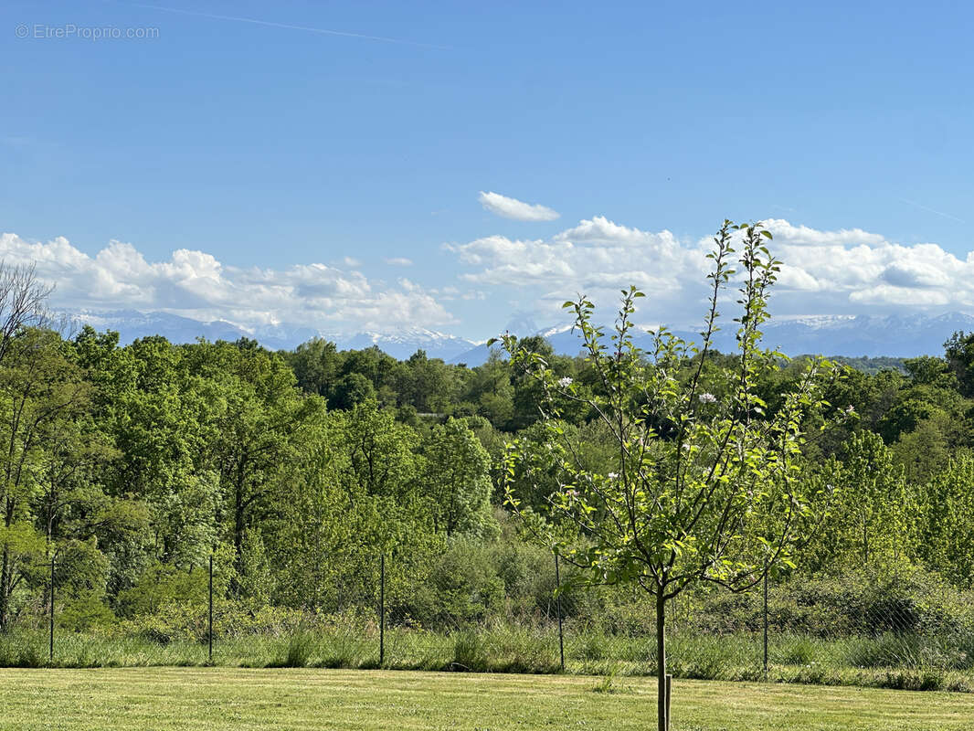 Terrain à LESCAR