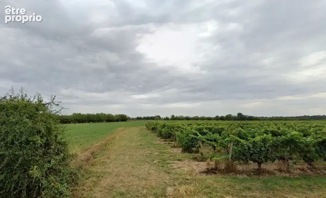 Terrain à NOTRE-DAME-D'ALLENCON