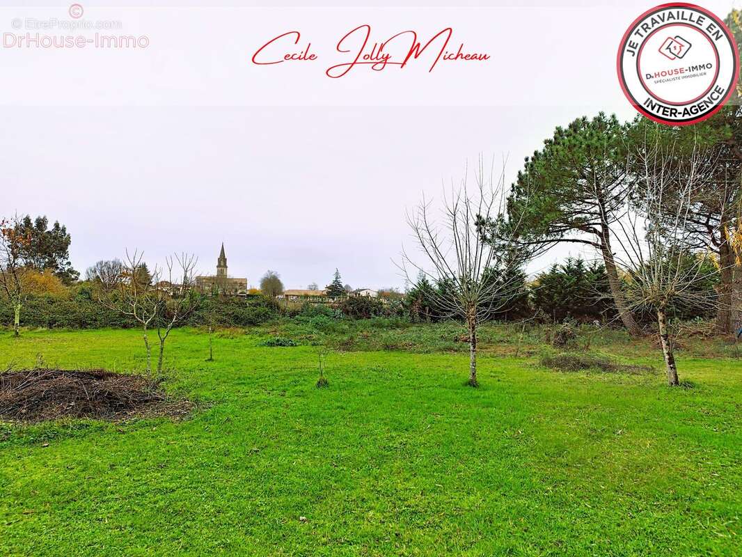 Terrain à CARTELEGUE