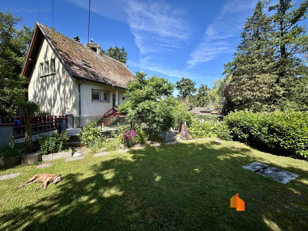 Maison 94 m² à Sentheim  - photo 2