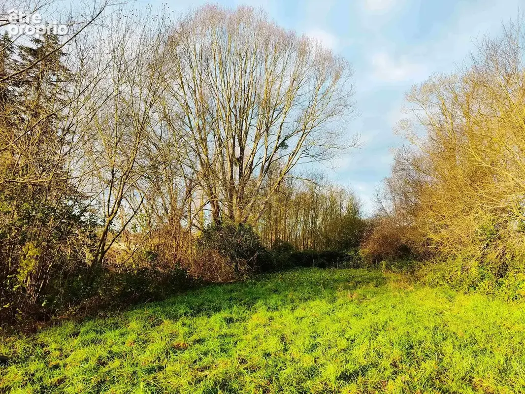 Terrain + garages a morannes sur sarthe - photo 5