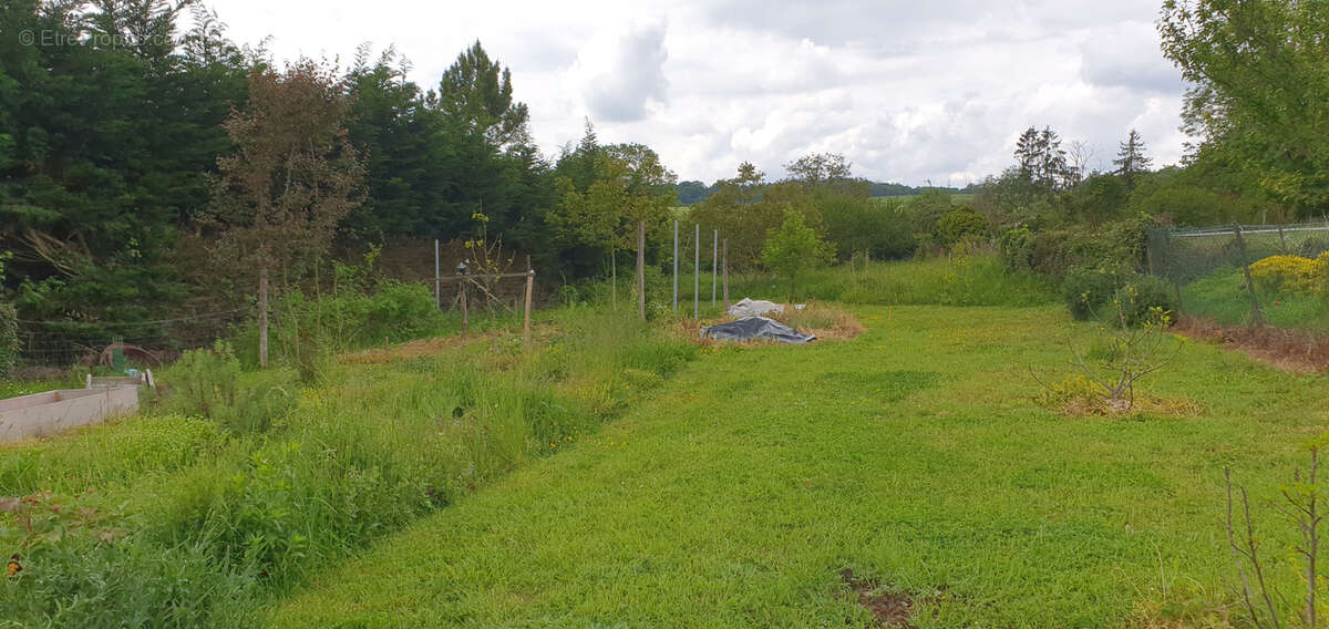 Terrain à AOUGNY