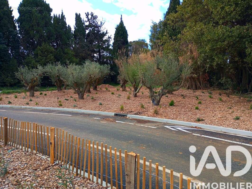 Photo 3 - Terrain à ELNE