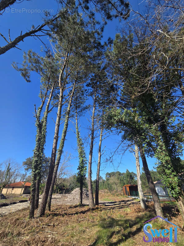 Terrain à MOLIETS-ET-MAA