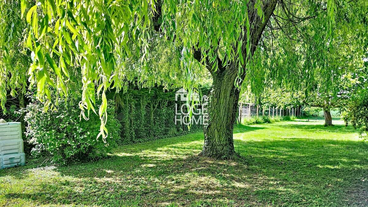Jardin - Maison à HENIN-BEAUMONT