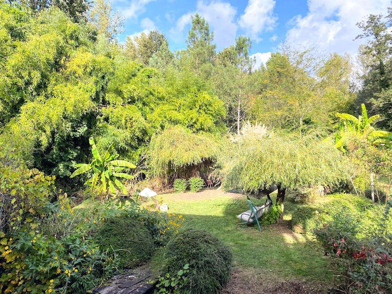JARDIN - Maison à CHASSENEUIL-SUR-BONNIEURE