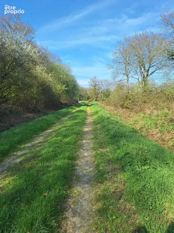 Terrain non constructible avec bâtisse en pierres en ruine, pour jardin ou espace de loisirs - photo 4