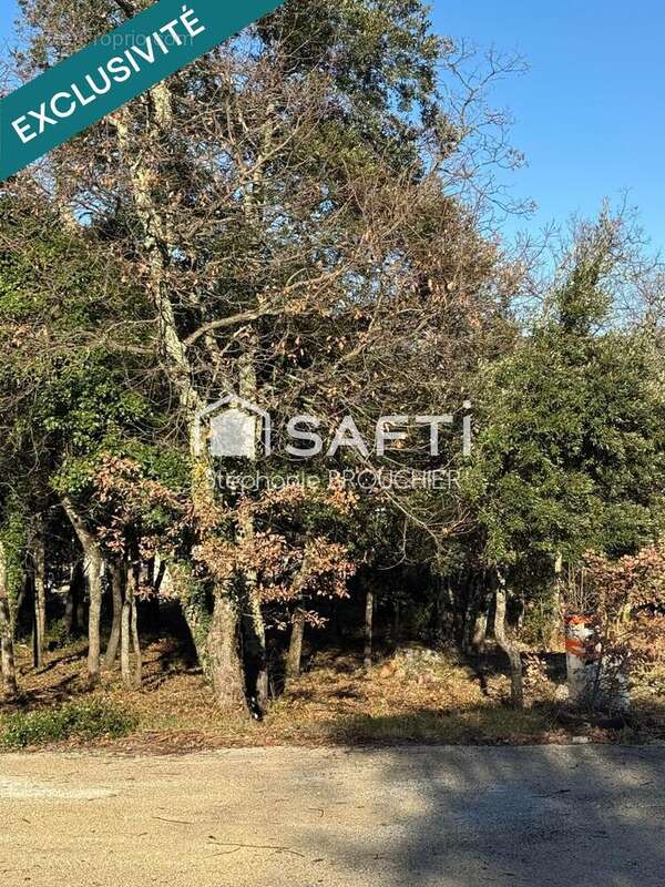 Photo 3 - Terrain à VALLON-PONT-D'ARC