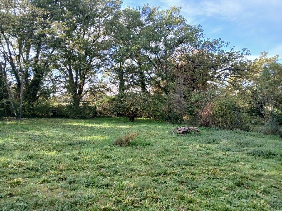 Terrain à BERRE-L&#039;ETANG