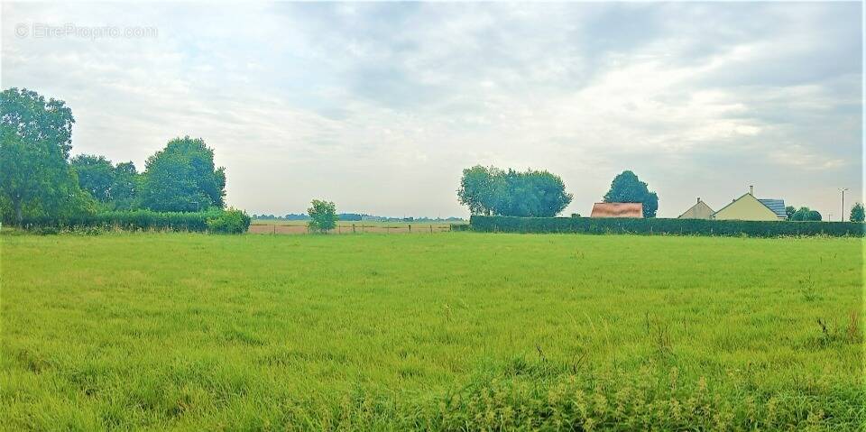 Terrain à LA CHAPELLE-HARENG