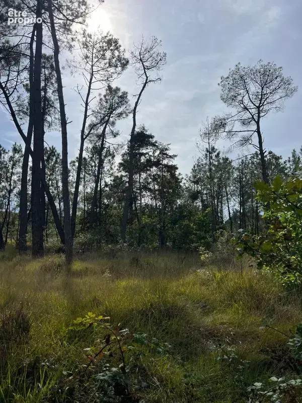 À vendre – argol – finistère – presqu’île de crozon-exceptionnel terrain de loisirs de 40 000 m² - photo 49