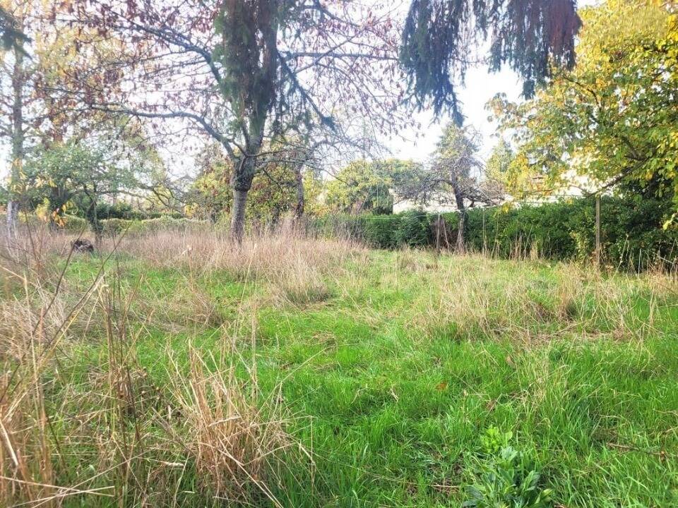 Terrain à SAINT-LEU-LA-FORET