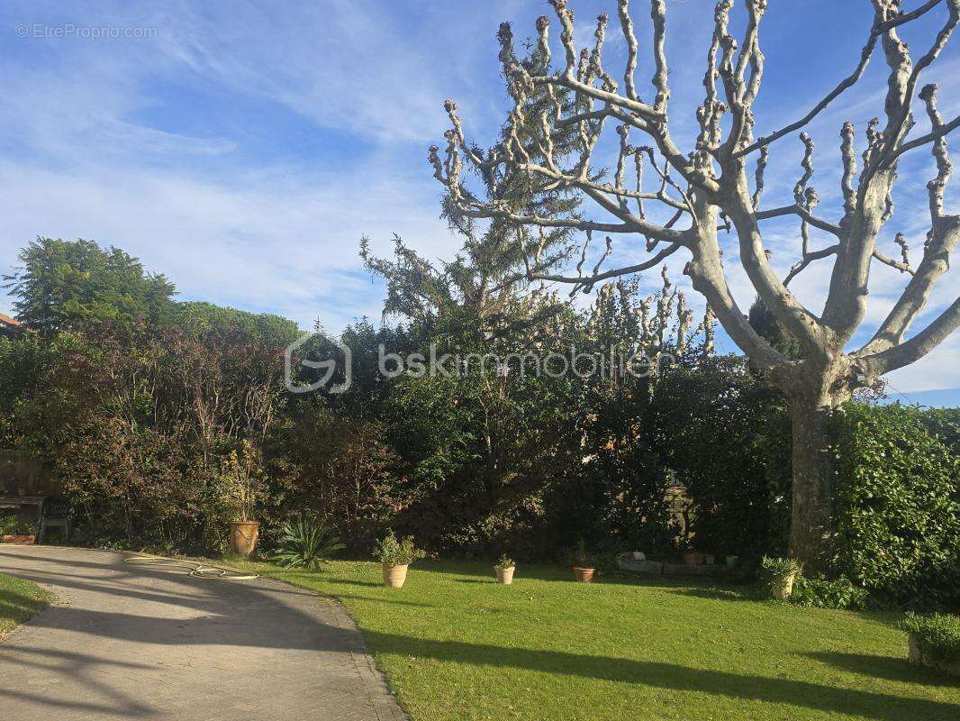 Maison à BARBENTANE