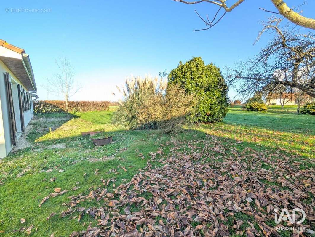 Photo 4 - Maison à LHOMMAIZE