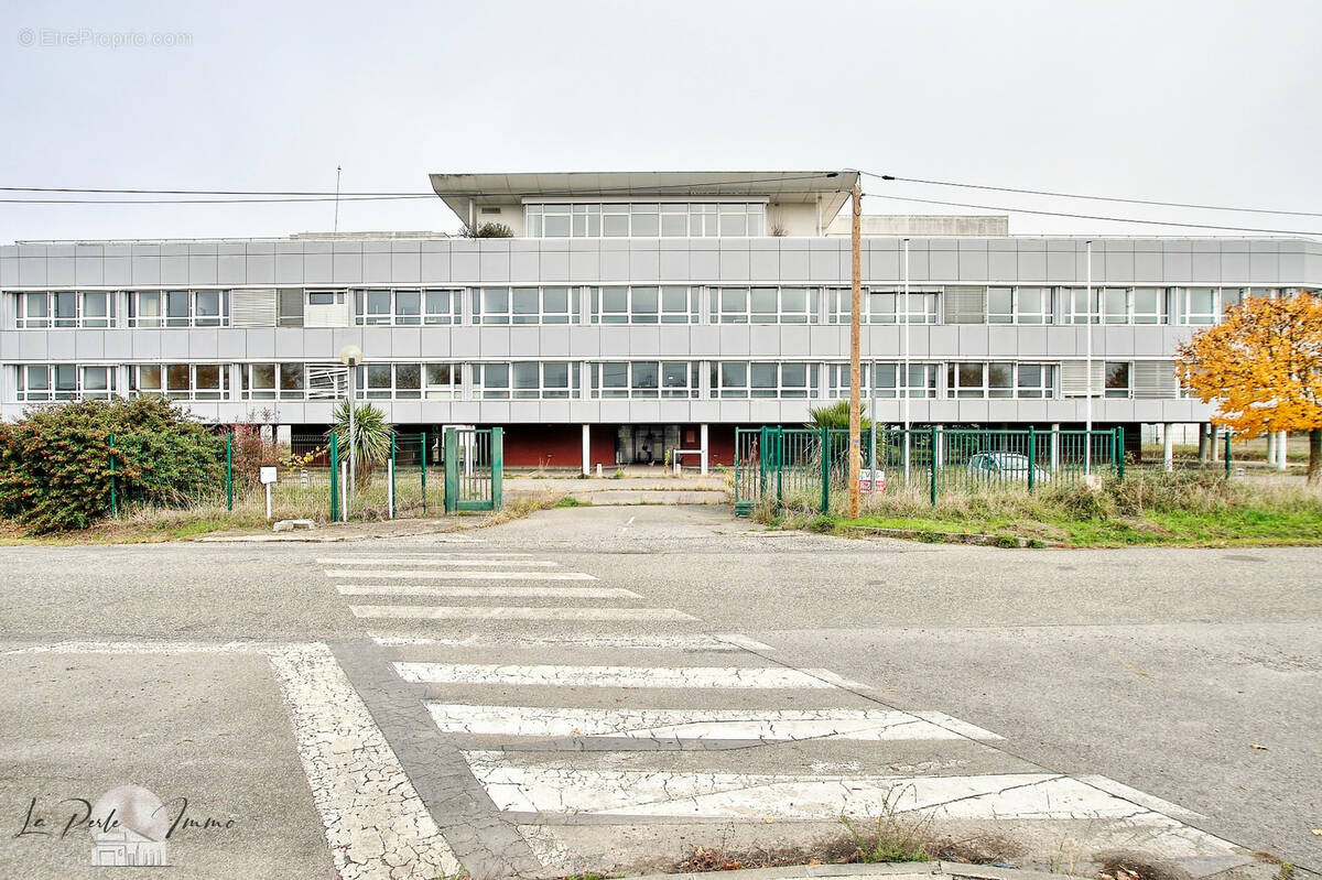 Commerce à MURET
