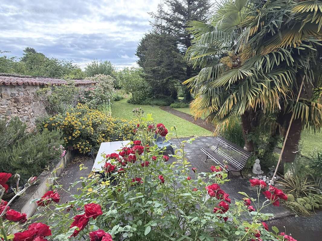 Une propriété chargée d'histoire qui évoque une atmosphère valencienne dès l'entrée - photo 17