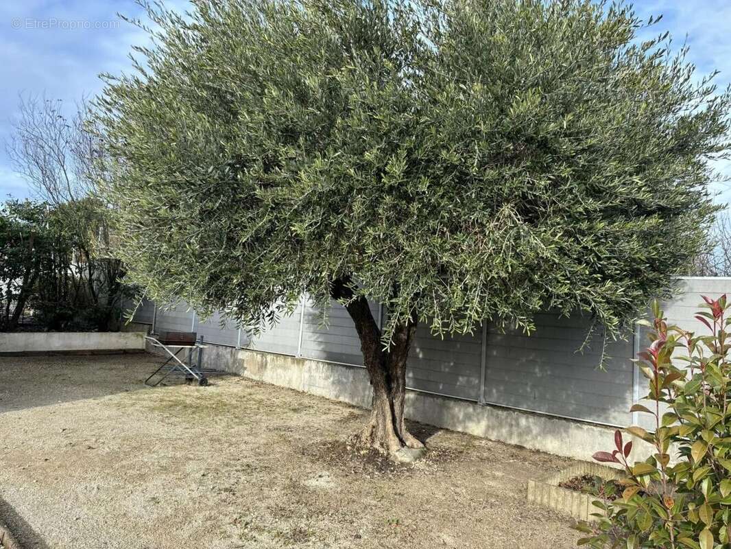 Maison à SAINT-GENIES-DE-MALGOIRES