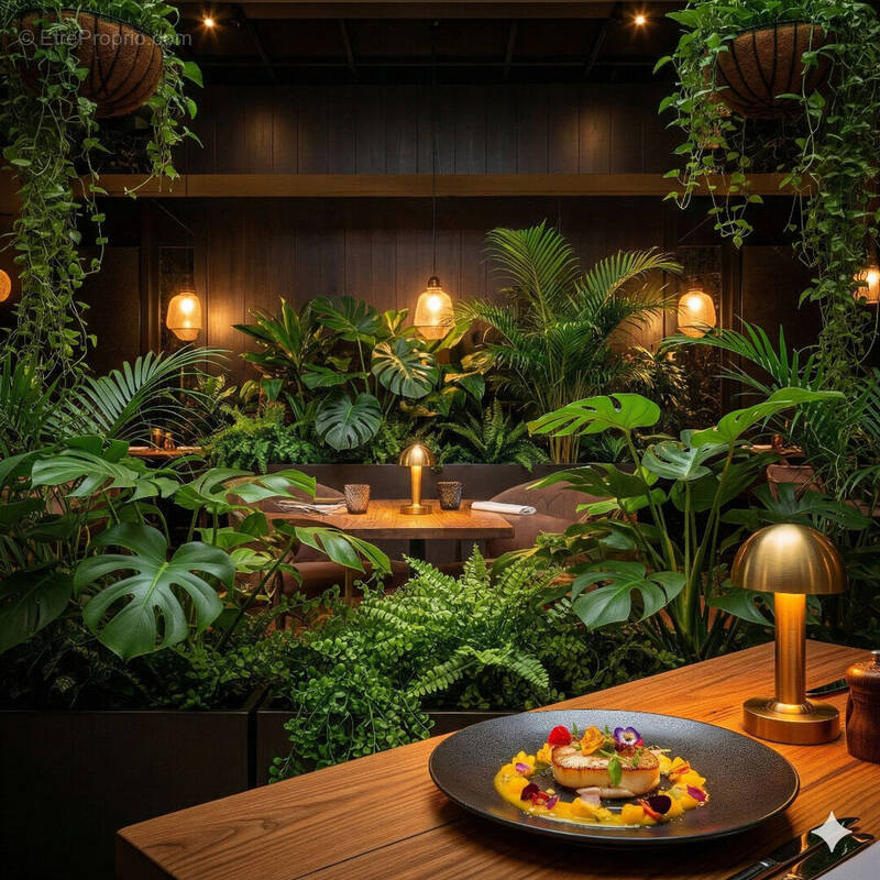 Commerce à SAINT-LEU