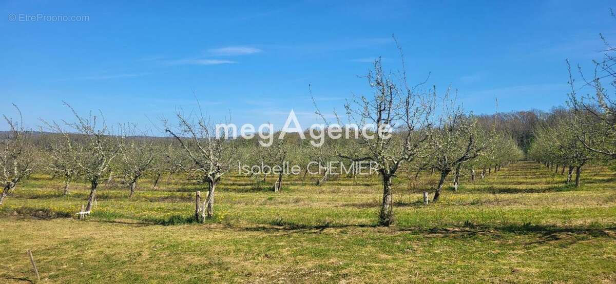 Maison à COURS-DE-PILE