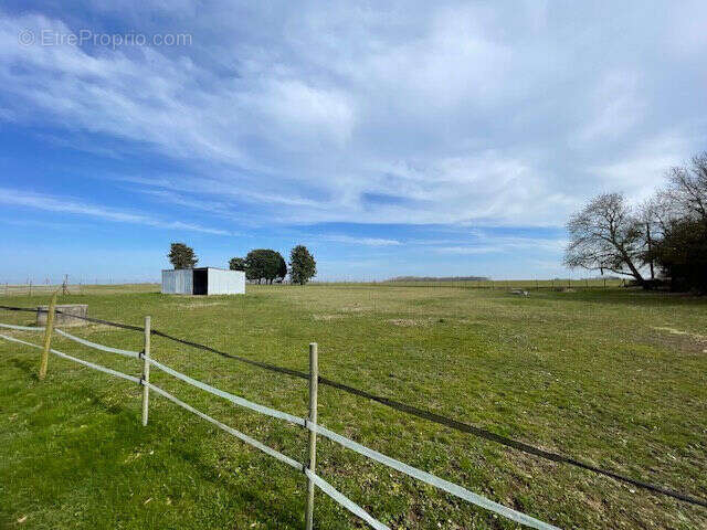 Photo 6 - Maison à LA FERTE-GAUCHER