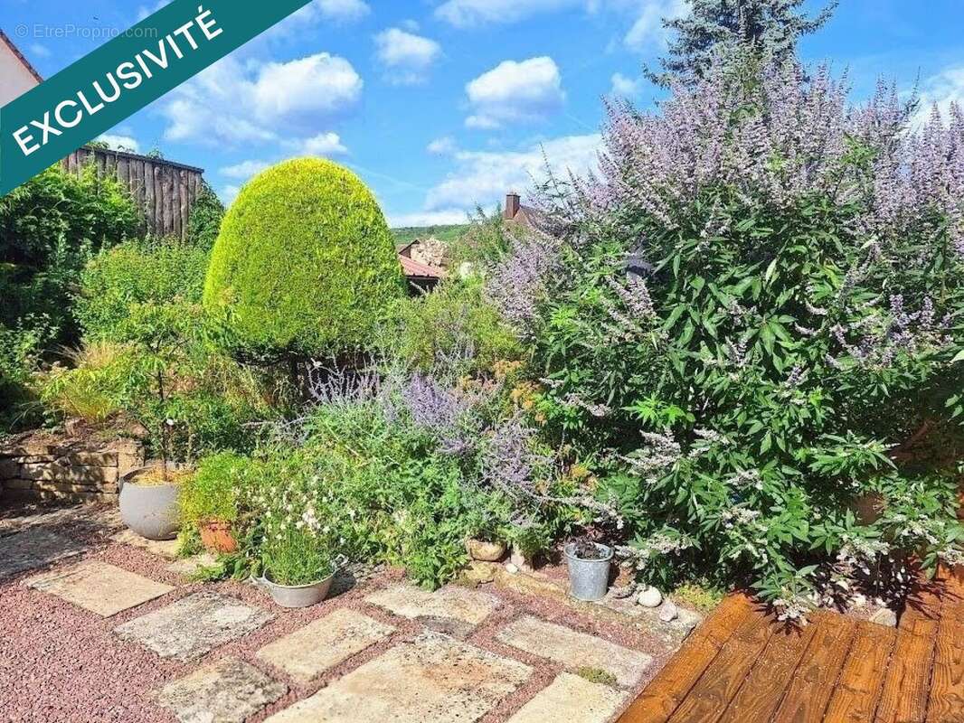 Photo 9 - Appartement à ROUFFACH