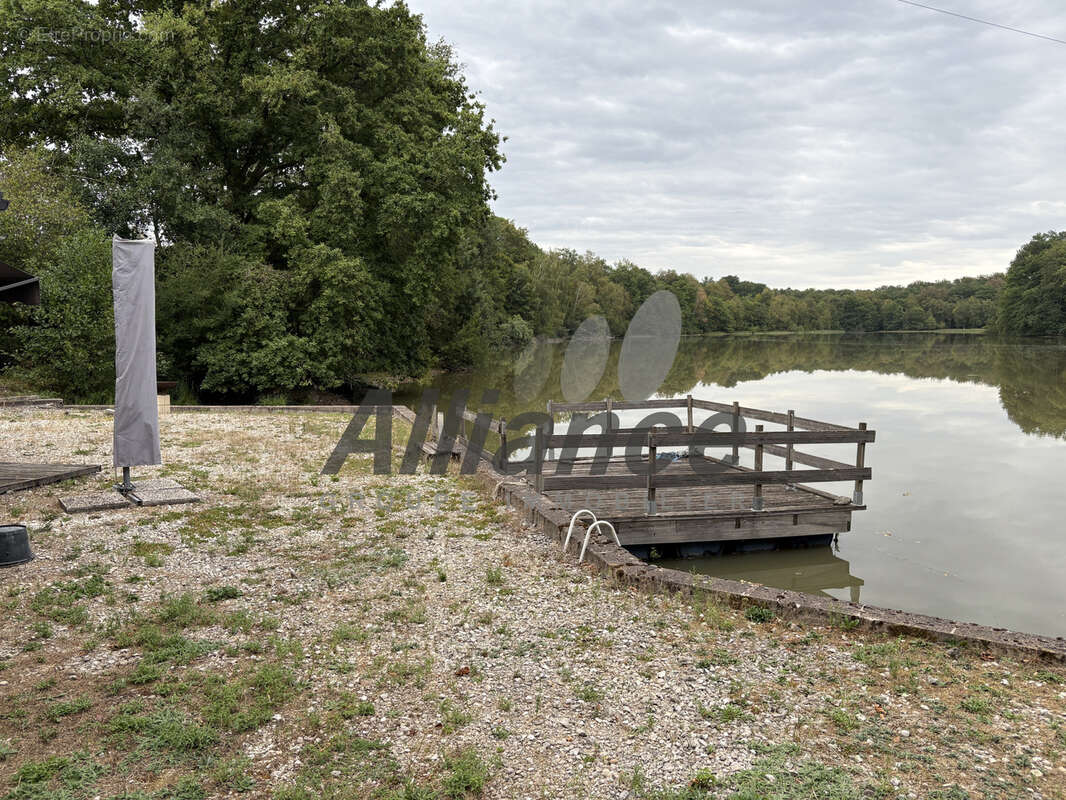 Etang  de  7  ha  50  d eau  entre  luxeuil  et  lure  avec  cabane  de  pecheur - photo 18