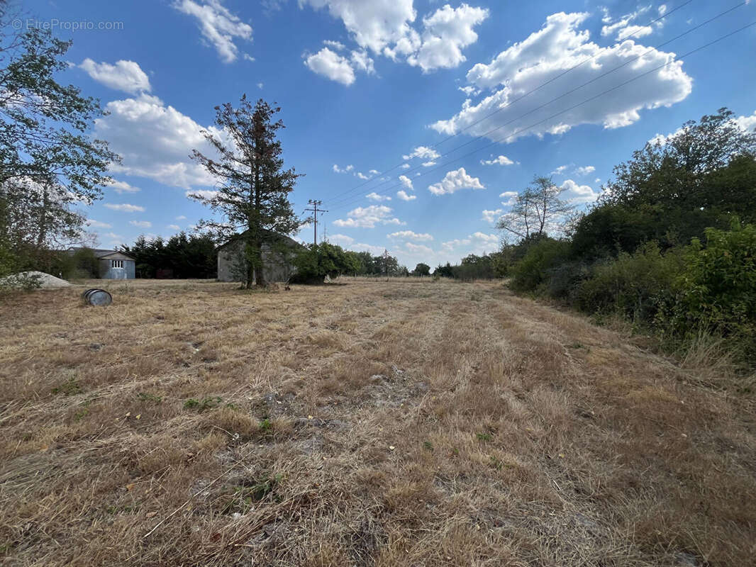 Local / Entrepôt avec grand terrain Brinon-sur-Sauldre - photo 3