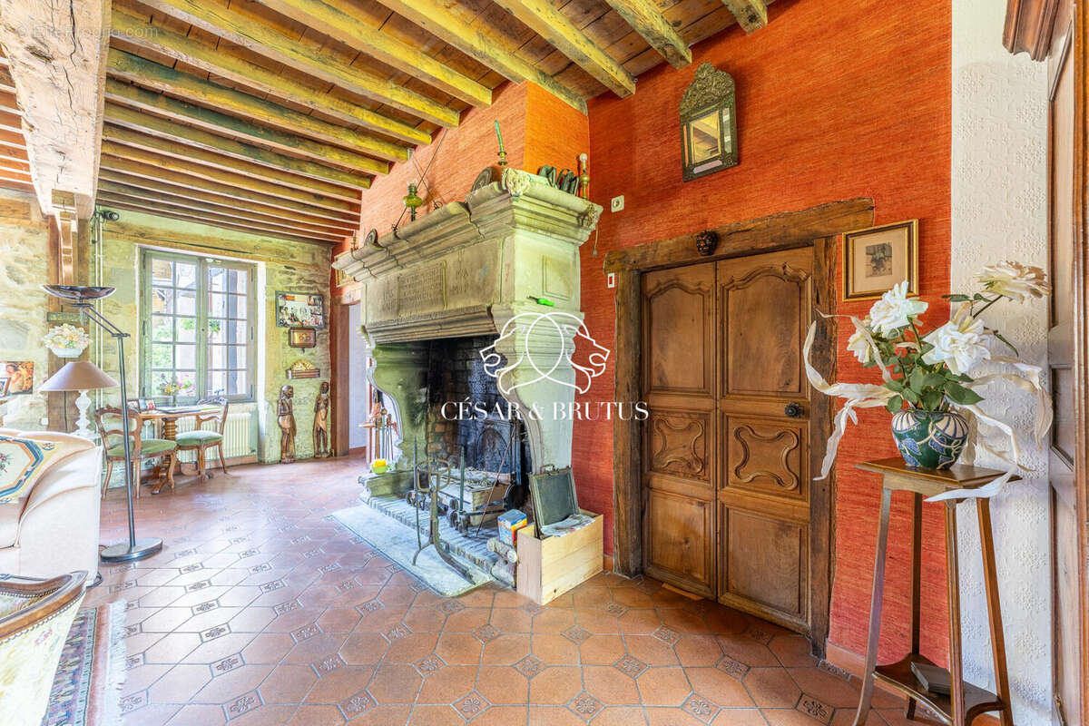 Maison 7 pièces 218 m² à vendre à Maubec (38300) - photo 4